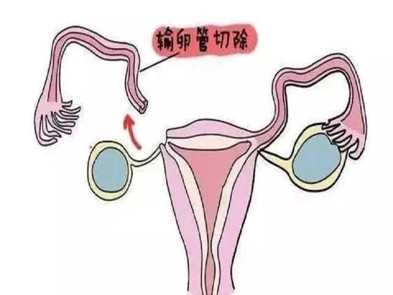 北京代孕和代孕，专业正规，北京代代助孕